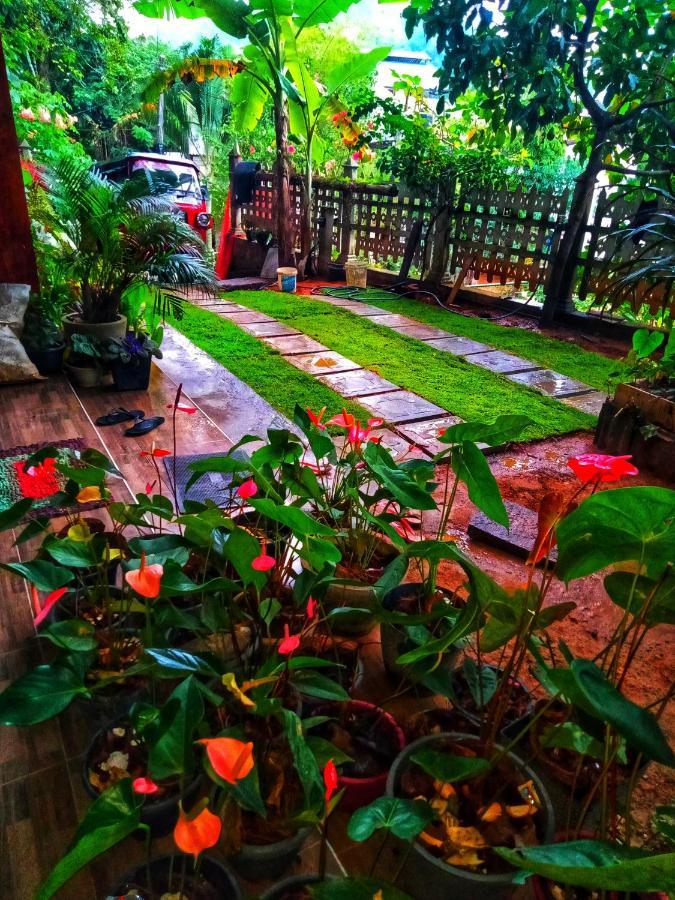 Maleesha Homestay Елла Екстер'єр фото